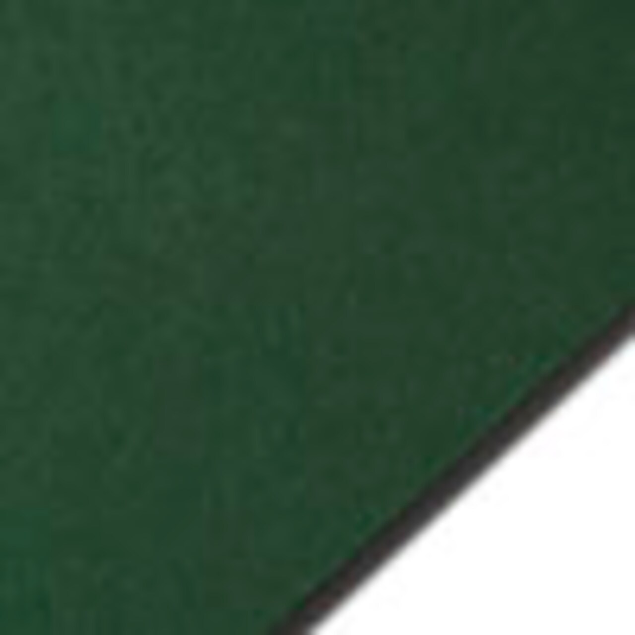 Colorplan FOREST - 12.5" x 19" - 100 Lb. / 270 Gsm Matte Premium Cardstock Paper Cover Sheet - 50 Sheets